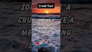 Sunrise Crush: Warmth and Hope in Infatuation 🌅💖 | Crush Fact #Shorts #CrushFact