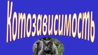 Котозависимость)