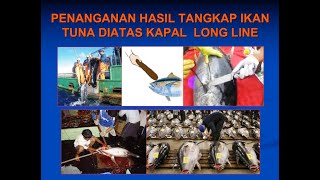 Penanganan Hasil Tangkap Ikan Tuna Diatas Kapal Long Line