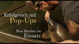 Erfolgreich karpfenangeln mit Dreambaits PopUps - Nico Brocher präsentiert den Einsatz!