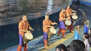 Let The Drums Roll |Sea World Abu Dhabi| Video#276