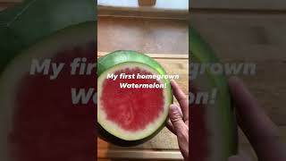 My first watermelon #watermelon #short #shortvideo