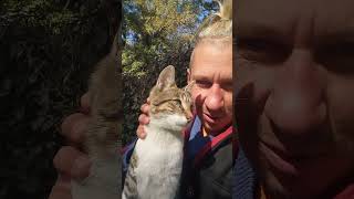 #music #chill #instrumental I love cats !!!Yerevan.Armenia.Russian person#cats