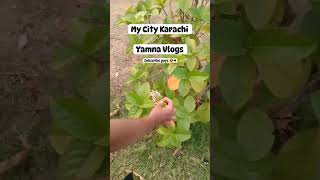 My City Karachi 🌼❤#yamnavlogs #vlogs #karachi #shot