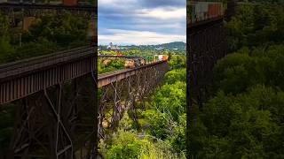 Which is the longest train in india #indianrailways #railway #train