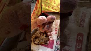 আমার কটকটি মায়ের ছোট্ট সংসার #shortsfeed #shortvideos