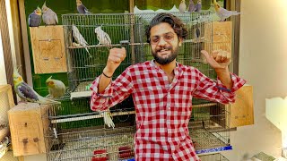 Cockatiels K Cages Ko Baher Set KarDia🦜