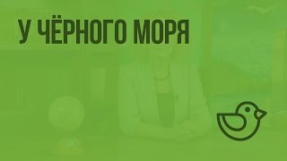 У Черного моря. Видеоурок по окружающему миру 4  класс