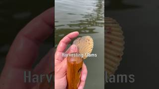 Oregon Coast Clamming