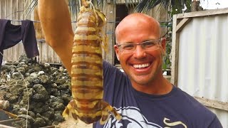 INDO TALES - EPISODE 25 Giant mantis shrimp catch and cook