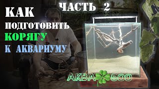 КОРЯГА увеличивает ЖЁСТКОСТЬ воды/ВЫВАРИВАЮ корягу #Аквариум #АквариумНаЗемле #ЗапускАквариума