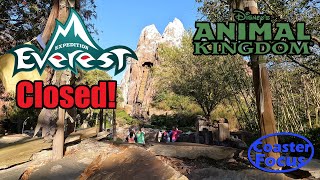 Expedition Everest was CLOSED for refurbishment :( Animal Kingdom Vlog (March 2, 2022)