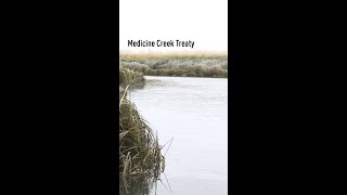 Medicine Creek Treaty