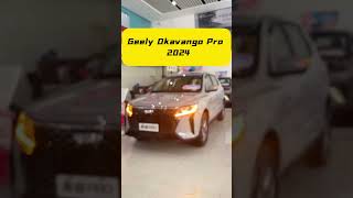 The New 2024 Geely Okavango Pro Review & Walkaround