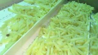 Dondurulmuş Parmak Patates Üretim Hattı - Frozen French Fry Production Line