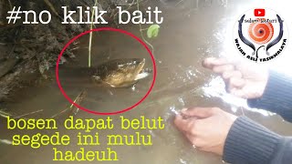 spot mancing belut yang tak habis belutbabon belutbesar ngurek di sungai