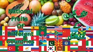 Gues The National Fruit From Different Countries With Picture | Mukhtalif Mulko Ke Qomi Phalo K Naam