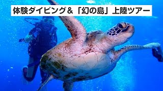 【石垣島・半日・5つの無料特典付】体験ダイビング＆秘境「幻の島」上陸ツアー