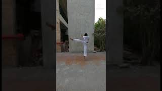 Achieve Fitness 360 degree kick.#shorts#ytshorts