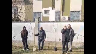 Tre nuovi alberi da frutto a scuola