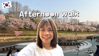 Walking Around Yangjae Vlog