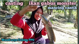 IKAN GABUS MONSTER mancing cantik