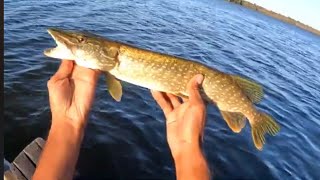 Little Lake Barrie Fishing  2024 | Fishing for Monsters |  Fishing Spots in Ontario