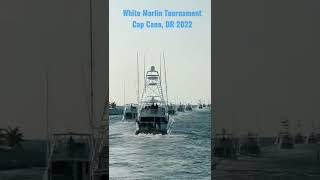 White Marlin Fishing Tournament Dominican Republic