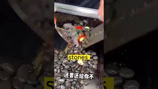 Chinese fry stones with sauce and eat them