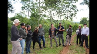 La agroecología es la herramienta más completa para la actividad yerbatera