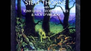 Steve Thorne ~ Tumbleweeds