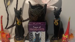 Stato PENSIERI SENTIMENTI AZIONI ( LUI ). Tarocchi Interattivo ANJE . Lettura carte Pagan Cats tarot