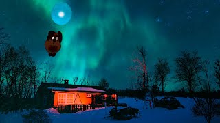 4K 🟢 Северное сияние. Метель и Винни ПУХ / Aurora Borealis, Blizzard and Winnie the Pooh