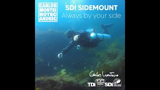 SDI SIDEMOUNT