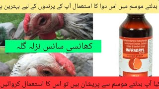 cough cold and flu remedies mucus in throat | chicken respiratory infection treatment | DR.M.ASIF