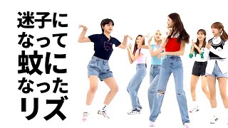 迷子になって蚊になったリズ [아이브/IVE]