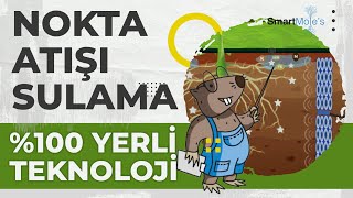 BİTKİ SULAMA VE GÜBRELEMEDE NOKTA ATIŞI YAPAN SİSTEM | SMARTMOLES RÖPORTAJ