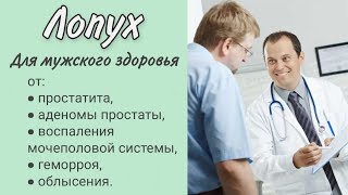 Лопух для мужского здоровья. Лечение простатита, аденомы простаты, геморроя. Сок лопуха.