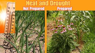 Is Your Garden Drought Resistant?  Be Prepared.