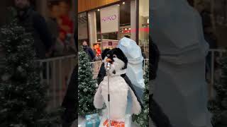 🎄 Christmas penguins in Bradford ❤️  #shorts #sony #sonyzv1 #trending #bradford #shortsvideo