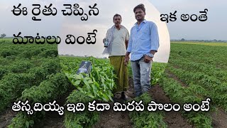 iil company shinwa farmer feedback in redchilli crop / ఐఐఎల్ కంపెనీ వారి  శిన్వా మిరప పొలంలో ఫలితాలు