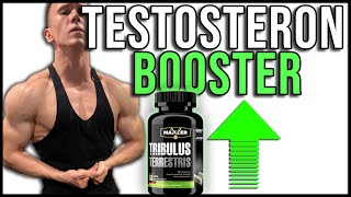 TESTOSTERON BOOSTERI || Beskorisni || Trikovi fitnes industrije