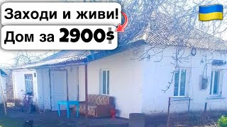 🇺🇦 Заходи и живи! Дом в селе за 2900$ Продажа недвижимости за копейки! Всё есть Уютное тихое село!