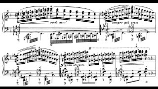 Liszt: Réminiscences de Don Juan, S.418 (Masaru Okada)