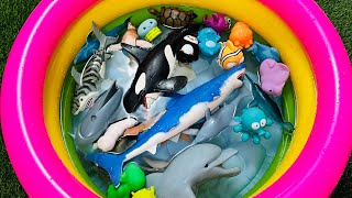 Learn Animal Names, Animal toys, Animals for kids, Sea Animals, Zoo, Farm, wild Animals for toddlers