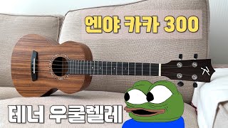 이야!! 🎸 우쿨렐레 샀다!! - 엔야 카카 300 / 테너 우쿨렐레 언박싱 🤩 🥳 / 8만 4천원!!