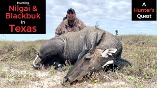 The Benefits of Conservation Thru Hunting - Free Range Nilgai and Blackbuck Hunting in Texas