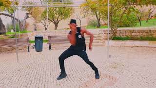 Sensational @ChrisBrownTV ft Vincii official dance video #sensational