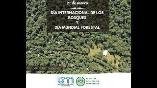 Testimonios de amigos de la FCF en el Día Internacional de los bosques