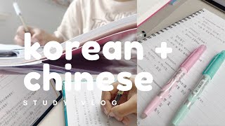 Studying Chinese and Korean | homework & studying for exam | trying skritter | productive study vlog